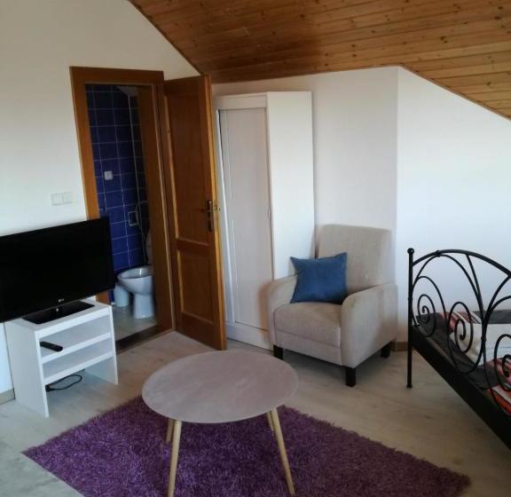 膳宿费 Vila štefan Drevko