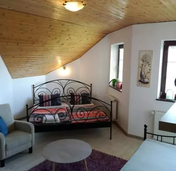 پانسیون Vila štefan Drevko