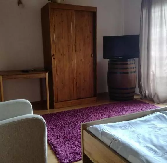 پانسیون Vila štefan Drevko