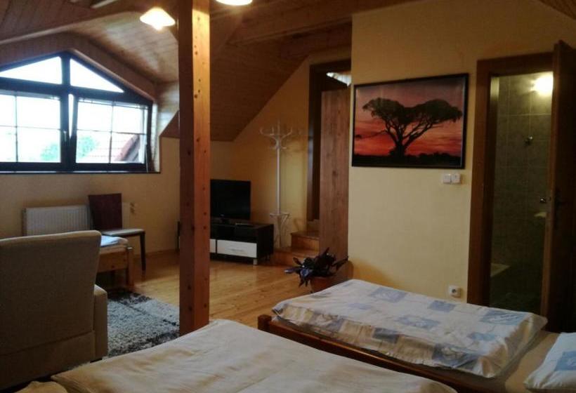 膳宿费 Vila štefan Drevko