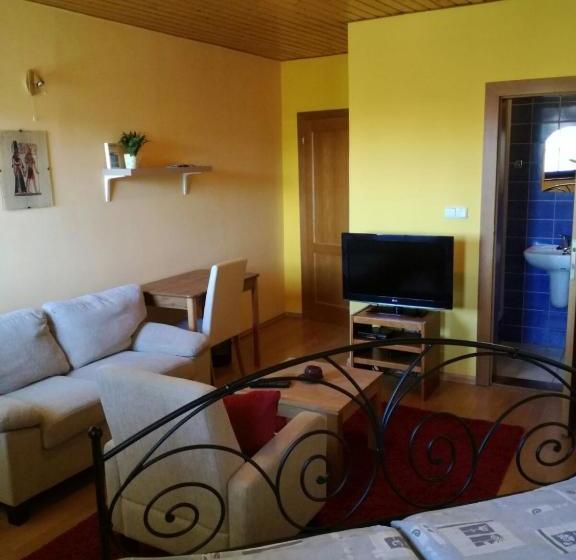 膳宿费 Vila štefan Drevko