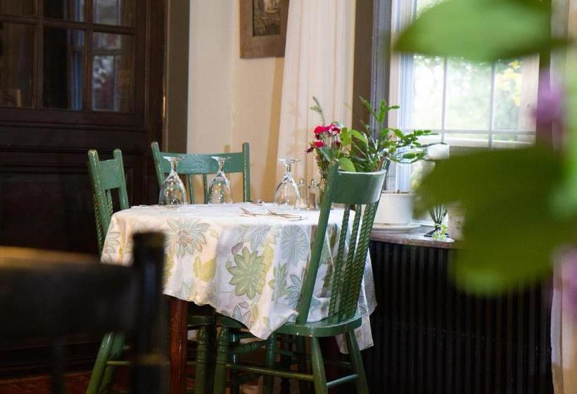 فندق صغير Back Inn Time