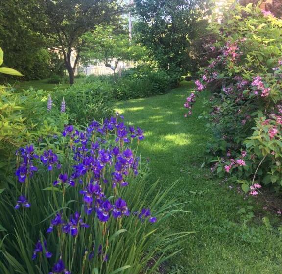 فندق صغير Back Inn Time