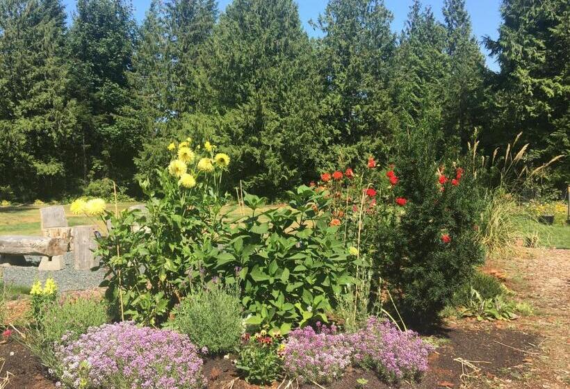 پانسیون Ashling Cottage