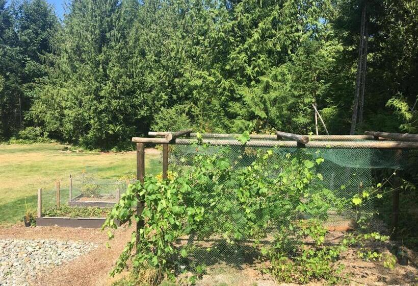 پانسیون Ashling Cottage