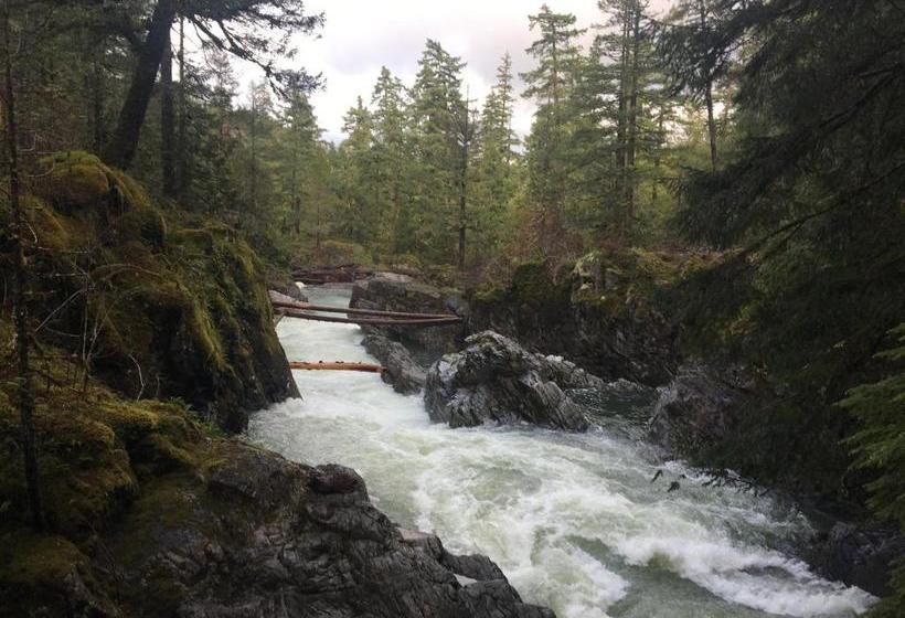 پانسیون Ashling Cottage