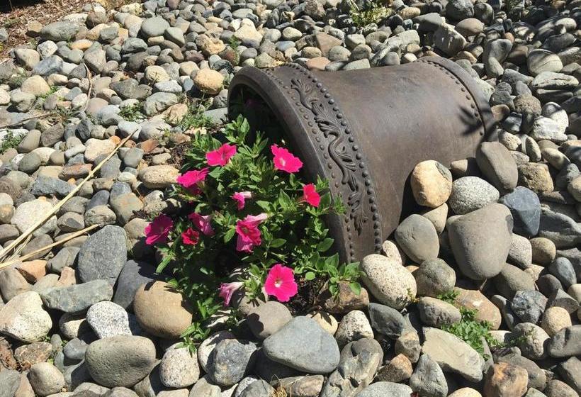 پانسیون Ashling Cottage