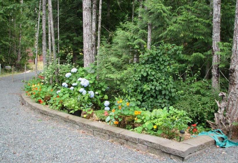 پانسیون Ashling Cottage