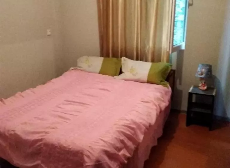 پانسیون Goga Guesthouse