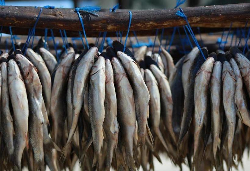 بنسيون Lêplek Guest House