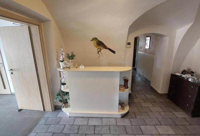 Pensionat Penzion A Restaurace U Strnada