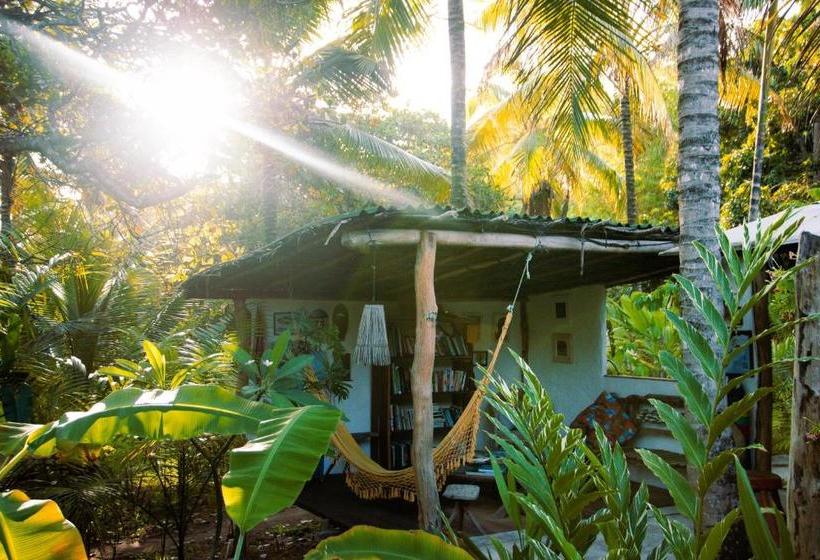 پانسیون Pousada Peixe Do Mato