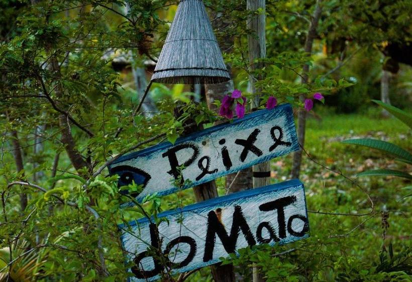 پانسیون Pousada Peixe Do Mato