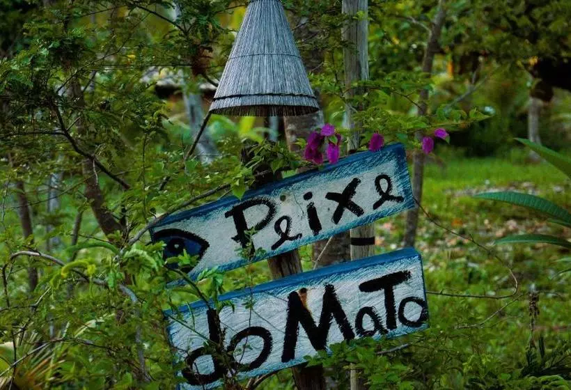 ペンション Pousada Peixe Do Mato