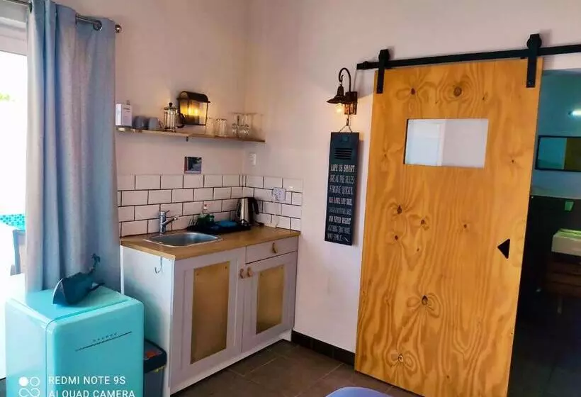 Studios 11and11aruba