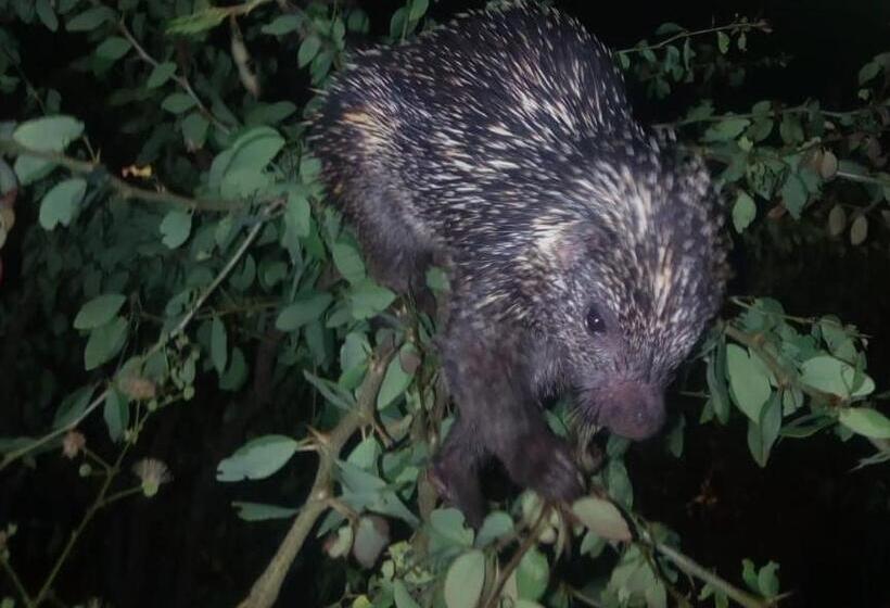 هاستل Casa Mahanaim Barichara