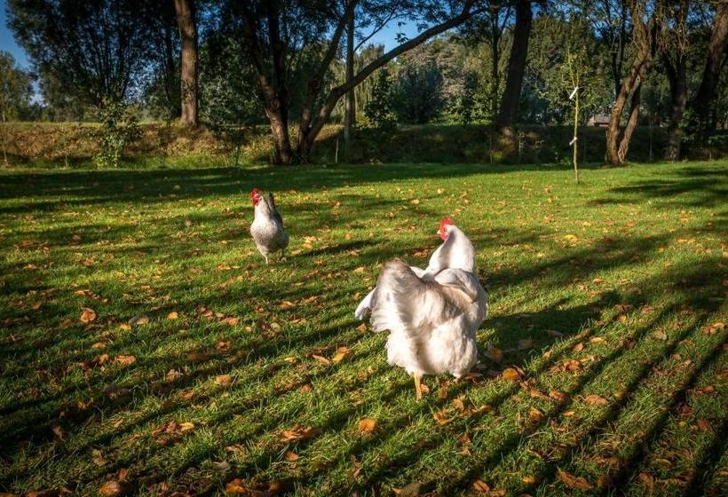 הוסטל Logement Aan De Vecht