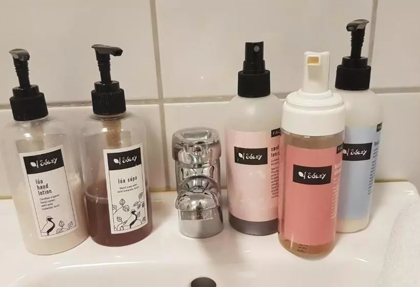 پانسیون Guesthouse Galleri Vík