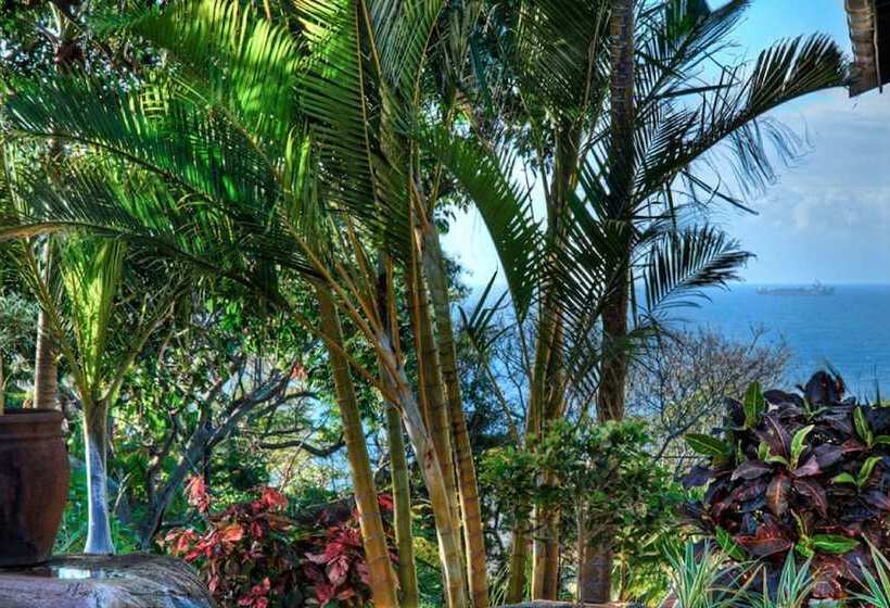 פנסיון Rostalyn Guesthouse