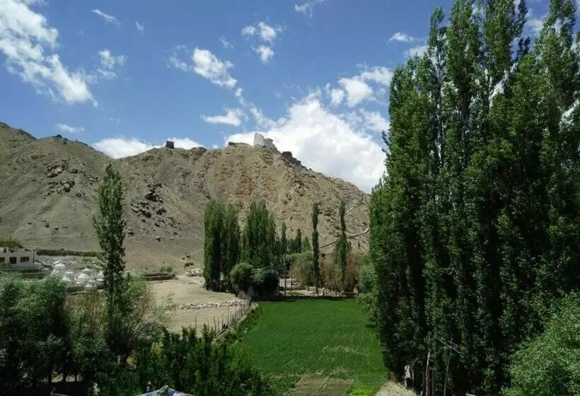 پانسیون Youthok Guest House