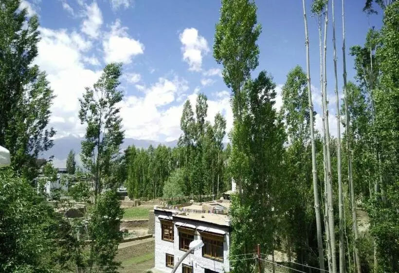 پانسیون Youthok Guest House