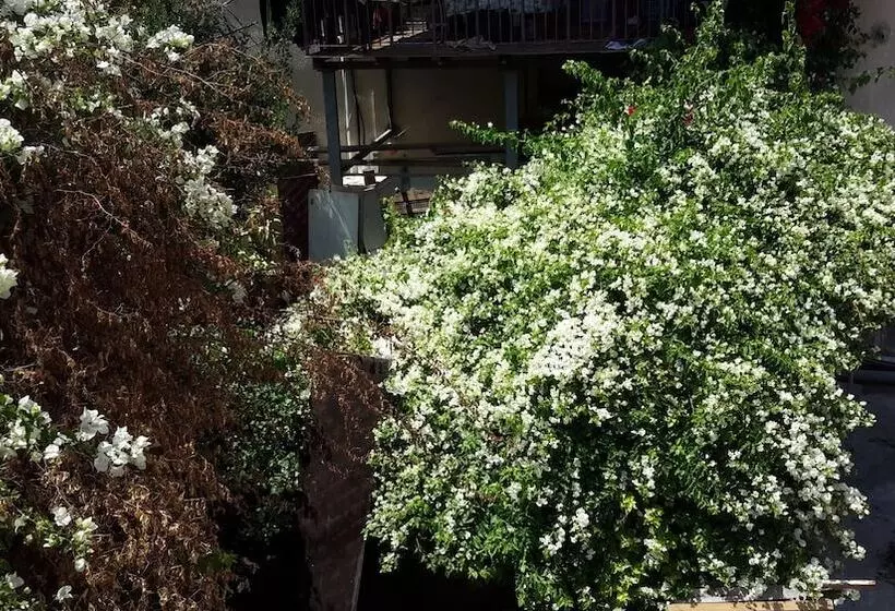 Majatalo Daher Guest House Nazareth   Hostel