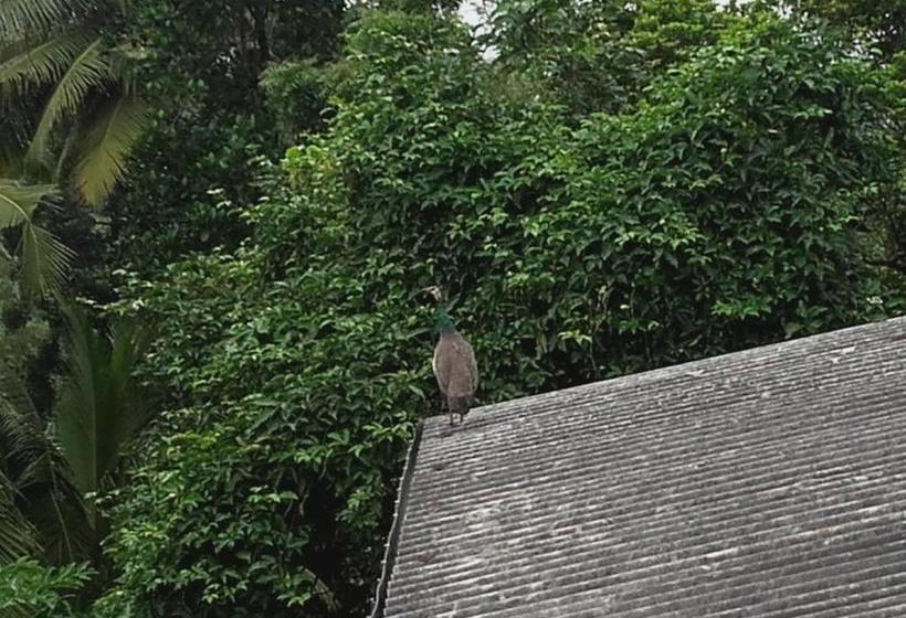 Pensjonat Disna Place