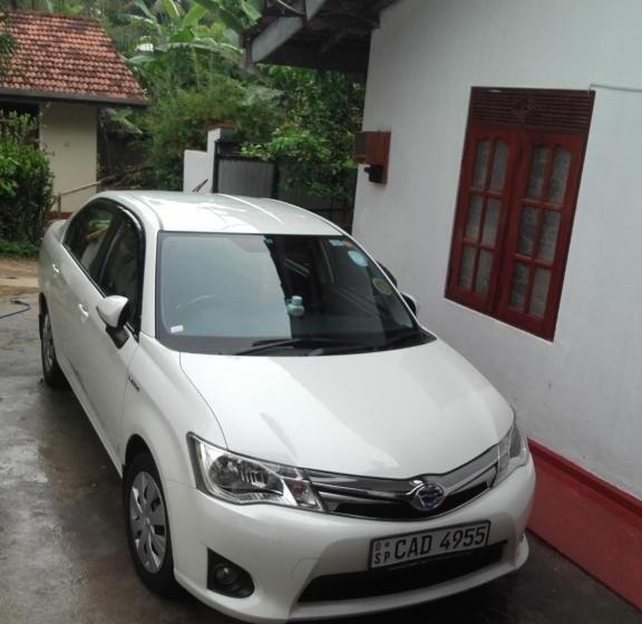 Pensjonat Disna Place