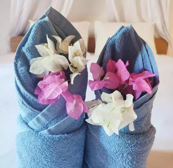 ユースホステル Gili Air Santay 2