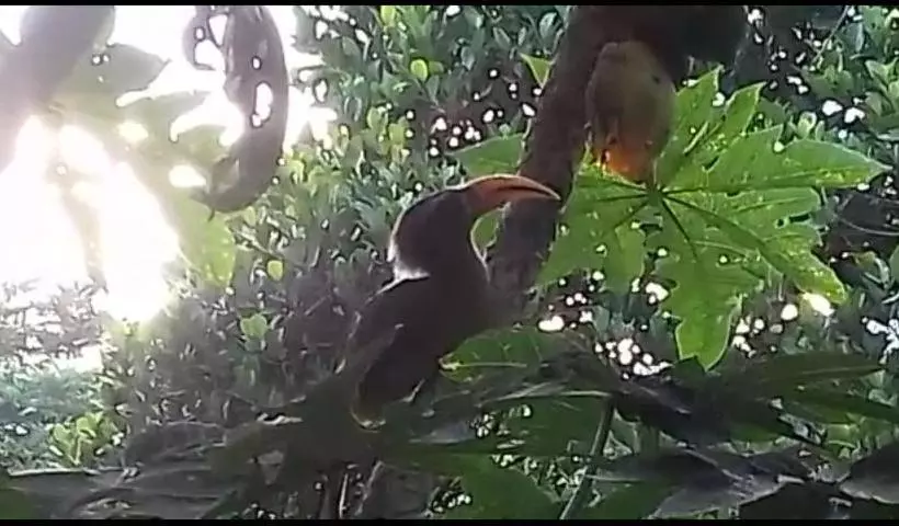 ユースホステル Periyar Green Bed & Breakfast