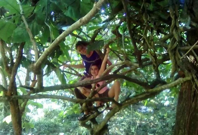 ユースホステル Periyar Green Bed & Breakfast