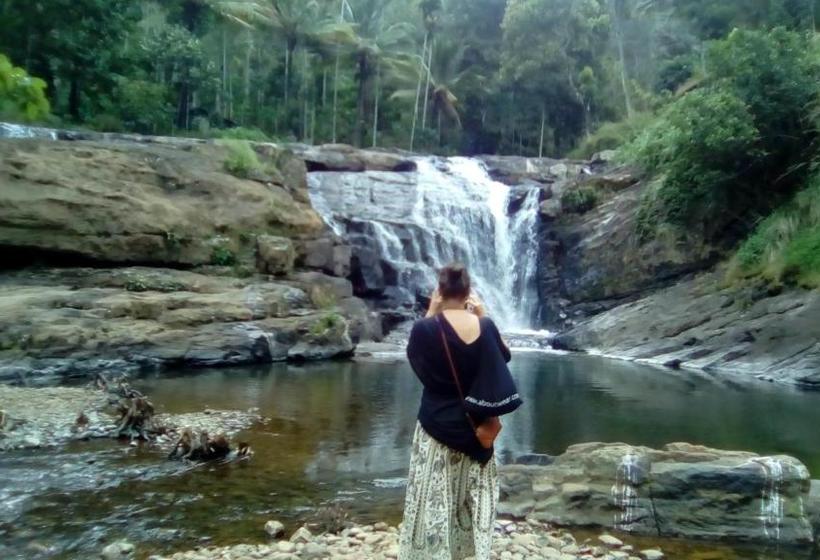 ユースホステル Periyar Green Bed & Breakfast