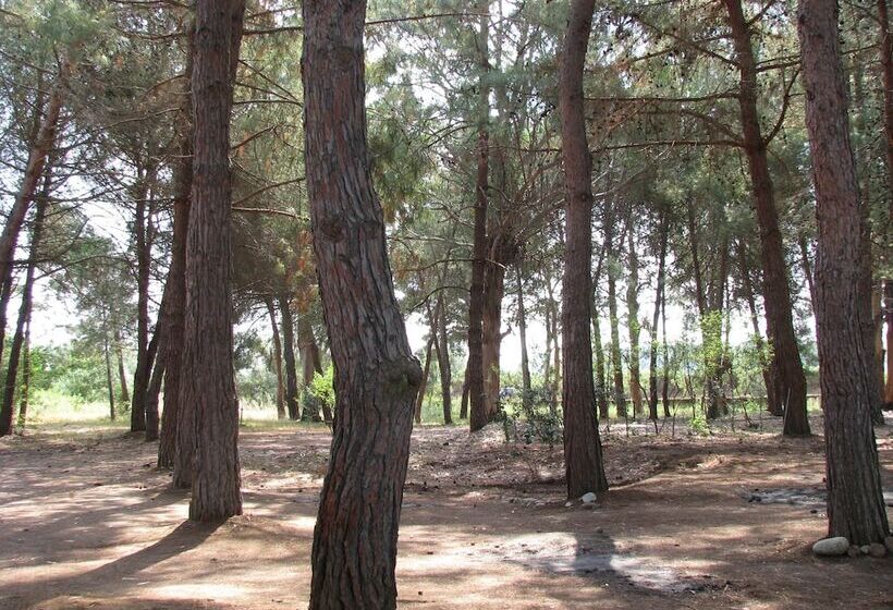 בית מלון כפרי Sweet Home La Conturella