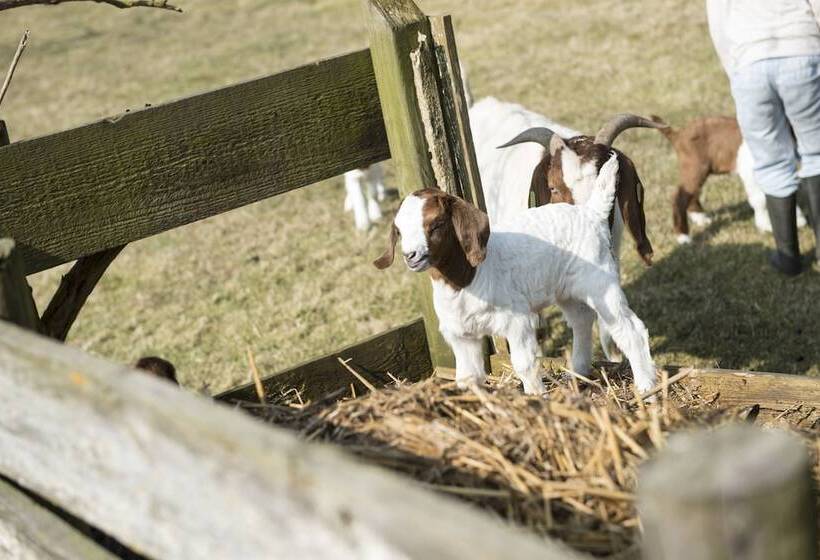 ペンション B&b Logeren Bij Van Heeren