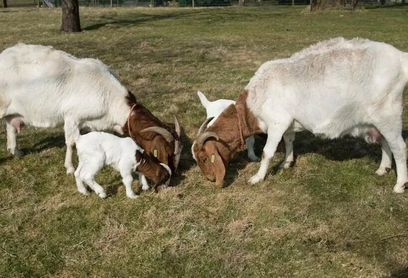 Majatalo B&b Logeren Bij Van Heeren