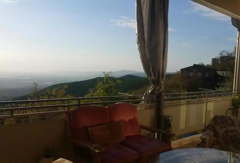 پانسیون Guest House Evdoshvili St N5