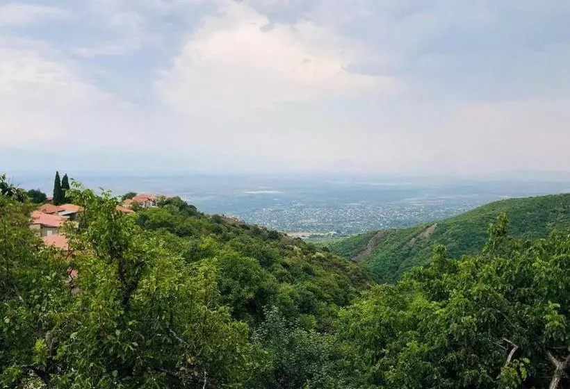 پانسیون Guest House Evdoshvili St N5