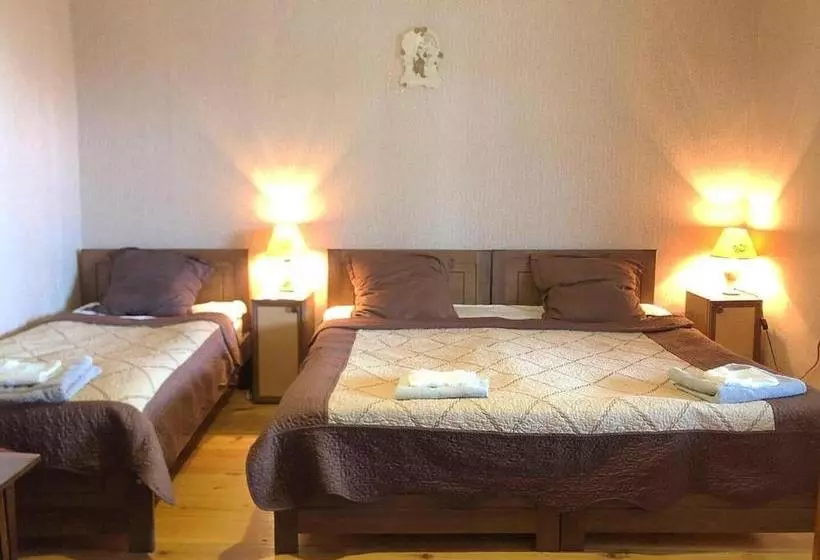 پانسیون Guest House Evdoshvili St N5
