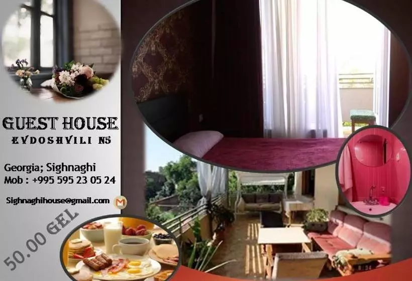 پانسیون Guest House Evdoshvili St N5