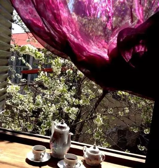 پانسیون Guest House Evdoshvili St N5