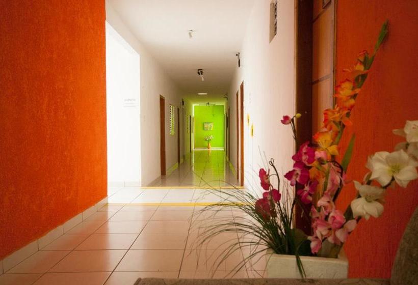 Pensionat Pousada Jomar