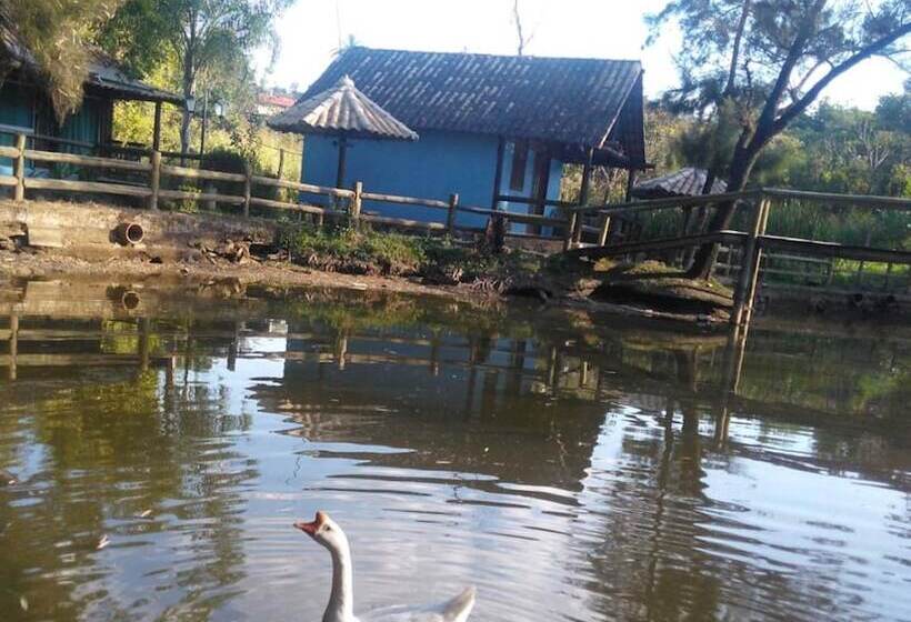 פנסיון Pousada Recanto Dos Cisnes
