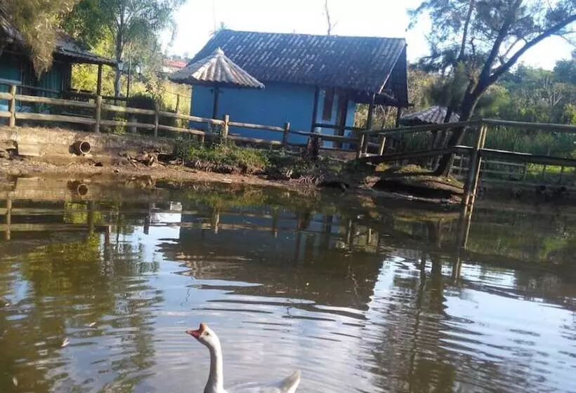پانسیون Pousada Recanto Dos Cisnes