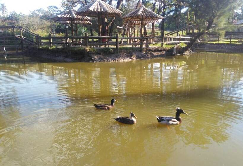 פנסיון Pousada Recanto Dos Cisnes