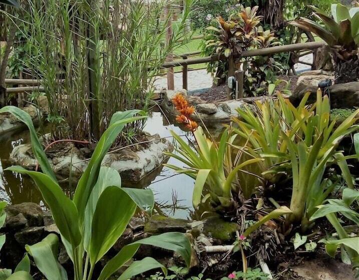 פנסיון Pousada Recanto Dos Cisnes