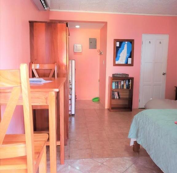 Beach Side Condos Caye Caulker By Ccvh