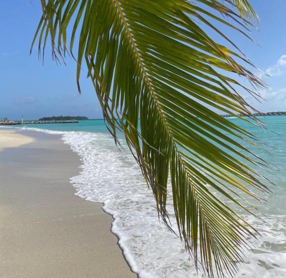 پانسیون Coco Cottage Local Style