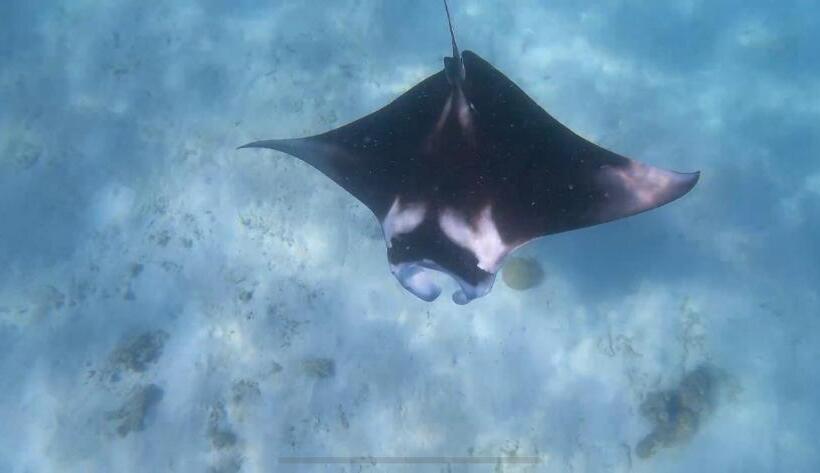 پانسیون Coco Cottage Local Style