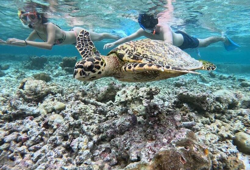 پانسیون Coco Cottage Local Style