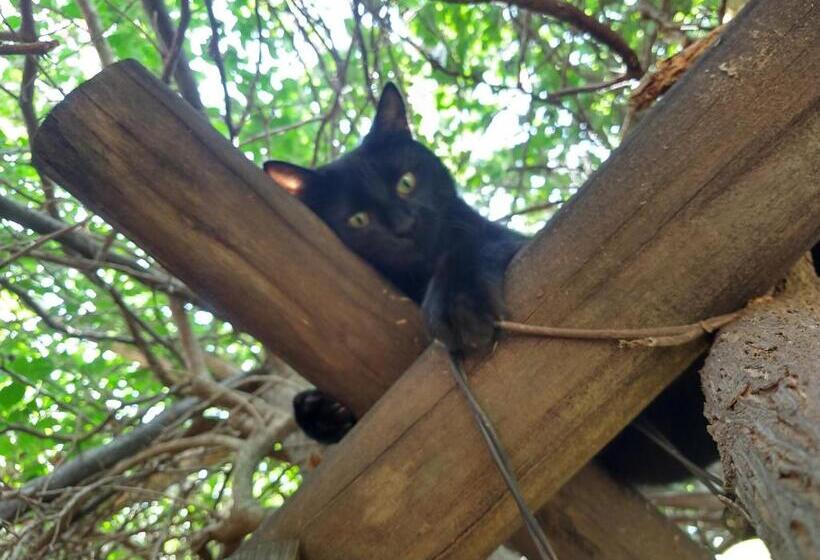 پانسیون Pousada Mandala